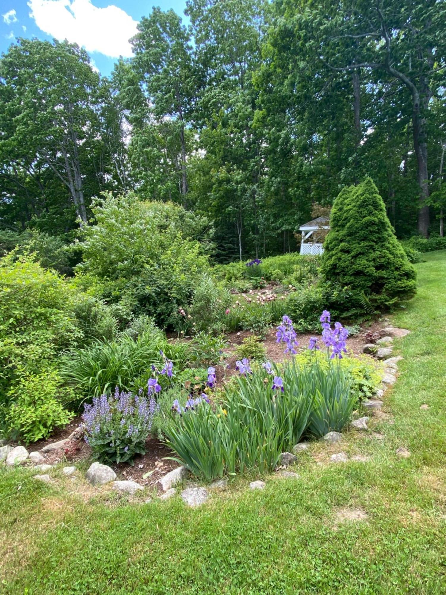 Victorian By The Sea Lincolnville Exterior foto